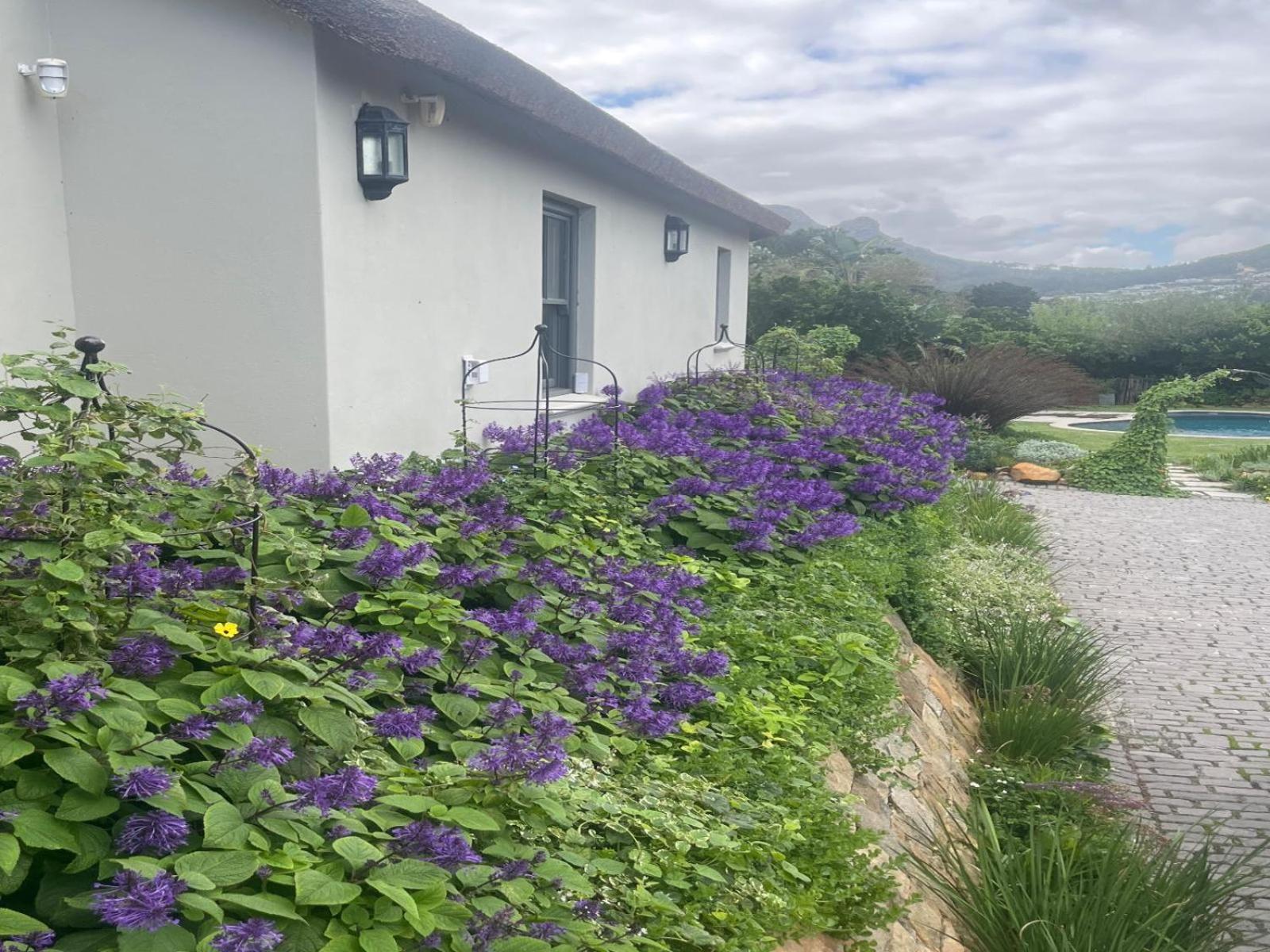 Beau'S Cape Retreat Hotel Hout Bay Eksteriør billede